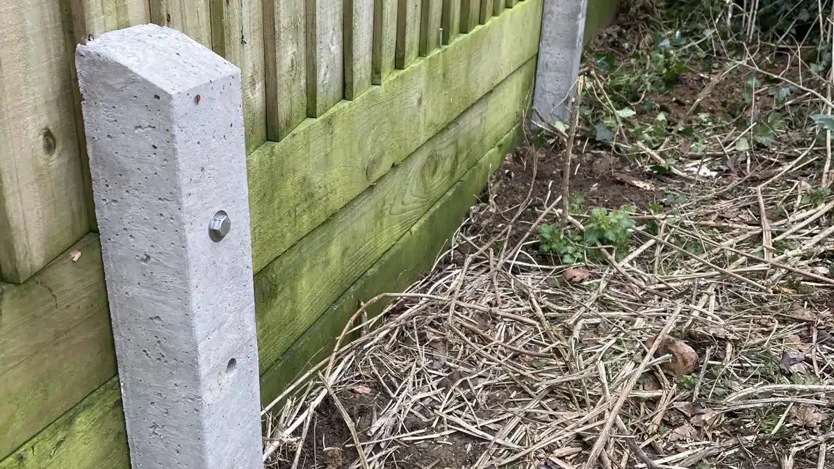 Concrete fence post beside a moss-covered wooden fence, with dry brambles on the ground