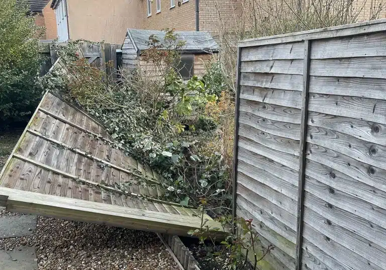 Collapsed wooden fence panels overgrown with ivy in a back garden