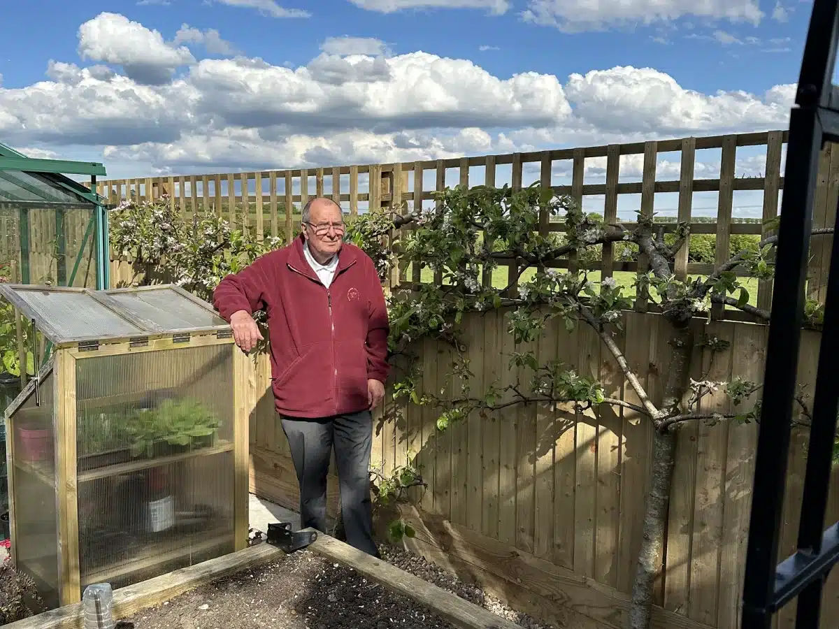 Man standing in a garden beside a small greenhouse and a flowering tree against a wooden fence