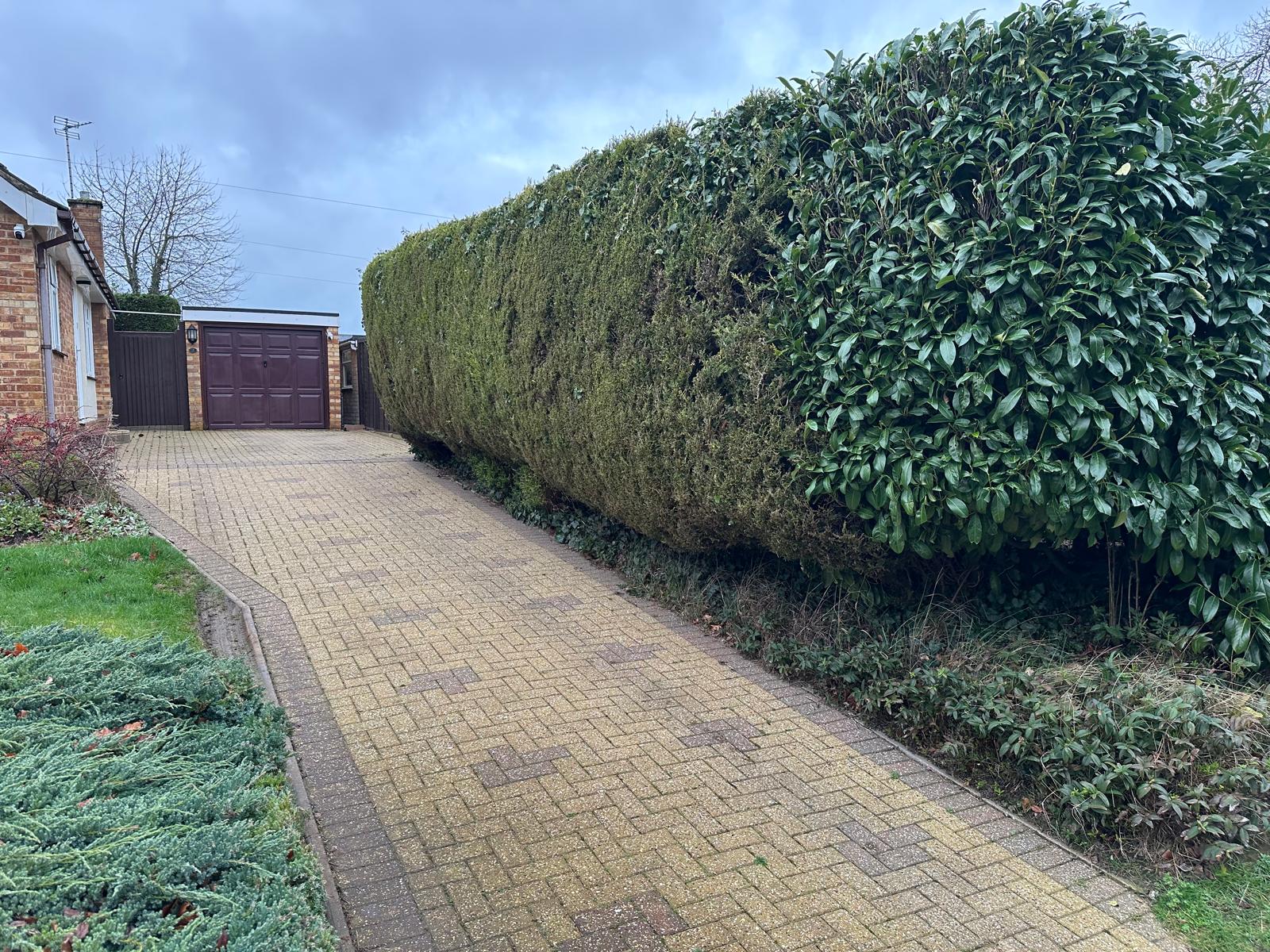 Hedge, Shrub and Root Clearance for Garden Boundary Preparation