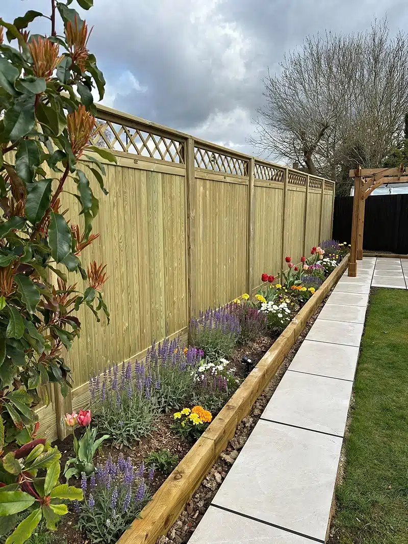 A garden border with tulips and purple flowers beside a paved path and wooden fence