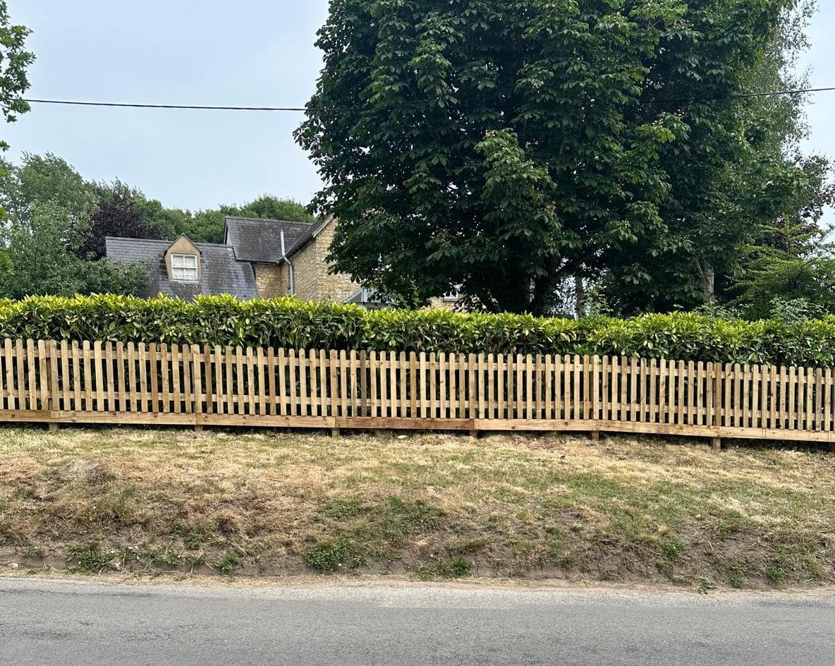 Road beside a wooden fence, hedge and large tree in front of a house
